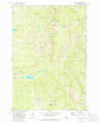 Fitsum Summit 1973 topographic map thumbnail