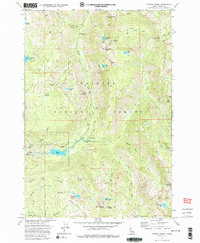 Fitsum Summit 1973 topographic map thumbnail
