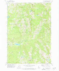 Fitsum Summit 1973 topographic map thumbnail