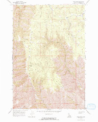 Frye Point 1968 topographic map thumbnail