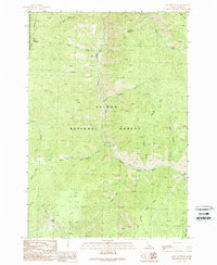 Gant Mountain 1989 topographic map thumbnail