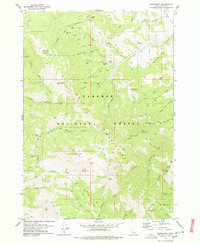 Garns Mtn 1978 topographic map thumbnail