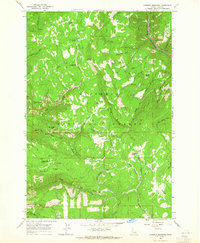 Goodwin Meadows 1963 topographic map thumbnail