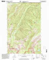 Grass Mountain 1996 topographic map thumbnail