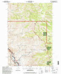 Grave Point 1995 topographic map thumbnail