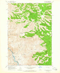 Grave Point 1963 topographic map thumbnail