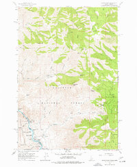 Grave Point 1963 topographic map thumbnail