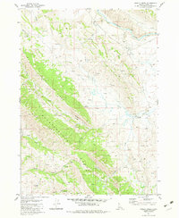 Grizzly Creek 1981 topographic map thumbnail