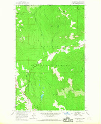Hall Mountain 1965 topographic map preview