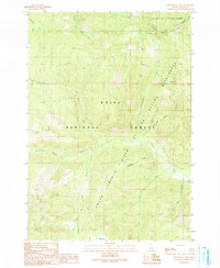 Honeymoon Lake 1990 topographic map thumbnail