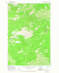 Horseshoe Lake 1965 topographic map preview