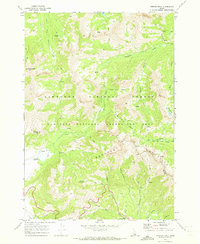 Horton Peak 1970 topographic map thumbnail