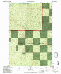 Hoyt Mountain 1995 topographic map thumbnail