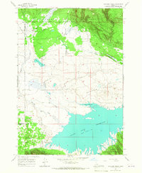 Icehouse Creek 1965 topographic map thumbnail