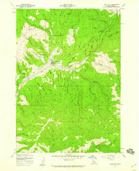 Idaho City 1957 topographic map thumbnail