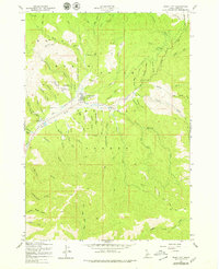 Idaho City 1957 topographic map thumbnail