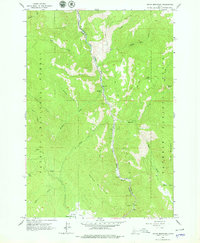 Indian Mountain 1963 topographic map thumbnail