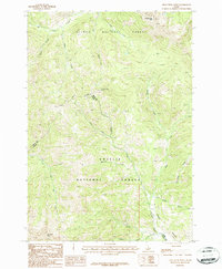 Iron Creek Point 1987 topographic map thumbnail