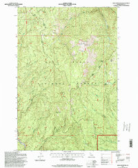 Iron Mountain 1995 topographic map thumbnail