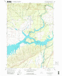 Island Park Dam 1964 topographic map thumbnail
