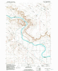 Jackass Butte 1992 topographic map thumbnail