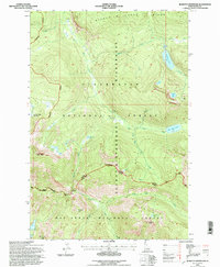 Jeanette Mountain 1994 topographic map thumbnail
