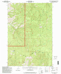 John Day Mountain 1995 topographic map thumbnail