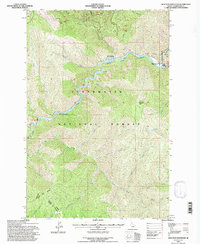 Junction Mountain 1994 topographic map thumbnail