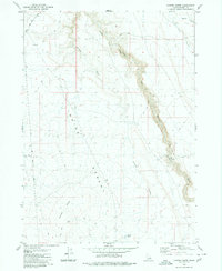 Juniper Butte 1980 topographic map thumbnail