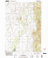 Lake Fork 1998 topographic map thumbnail
