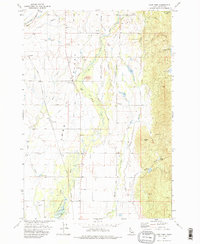 Lake Fork 1973 topographic map thumbnail