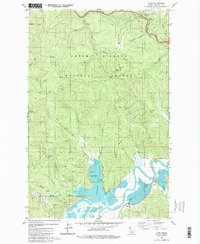 Lane 1981 topographic map thumbnail