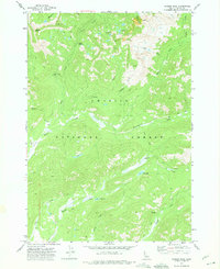 Langer Peak 1972 topographic map thumbnail