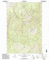 Larch Butte 1994 topographic map thumbnail