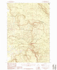 Latham Spring 1986 topographic map thumbnail