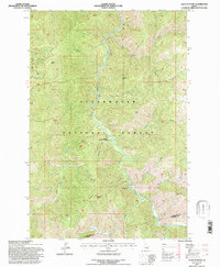 Lean-to Point 1994 topographic map preview