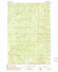 Leesburg 1989 topographic map thumbnail