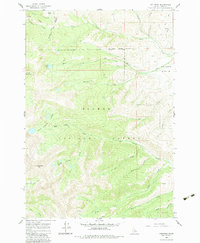 Lem Peak 1962 topographic map thumbnail