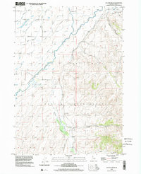 Lincoln Creek 1998 topographic map thumbnail