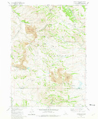 Lincoln Peak 1981 topographic map thumbnail