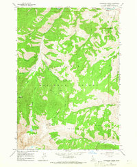 Livingston Creek 1964 topographic map thumbnail