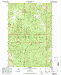 Lodge Point 1995 topographic map thumbnail