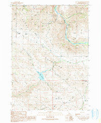 Long Tom Reservoir 1990 topographic map thumbnail
