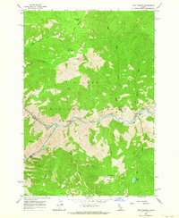 Long Tom Mtn 1962 topographic map thumbnail
