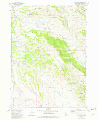 Long Valley 1981 topographic map thumbnail