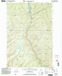 Loon Lake 2004 topographic map thumbnail