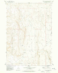 Magic Hot Springs 1977 topographic map thumbnail