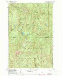 Mallard Peak 1963 topographic map thumbnail
