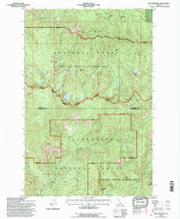 Mallard Peak 1994 topographic map thumbnail
