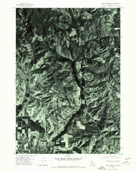 Mann Creek SW topographic map thumbnail